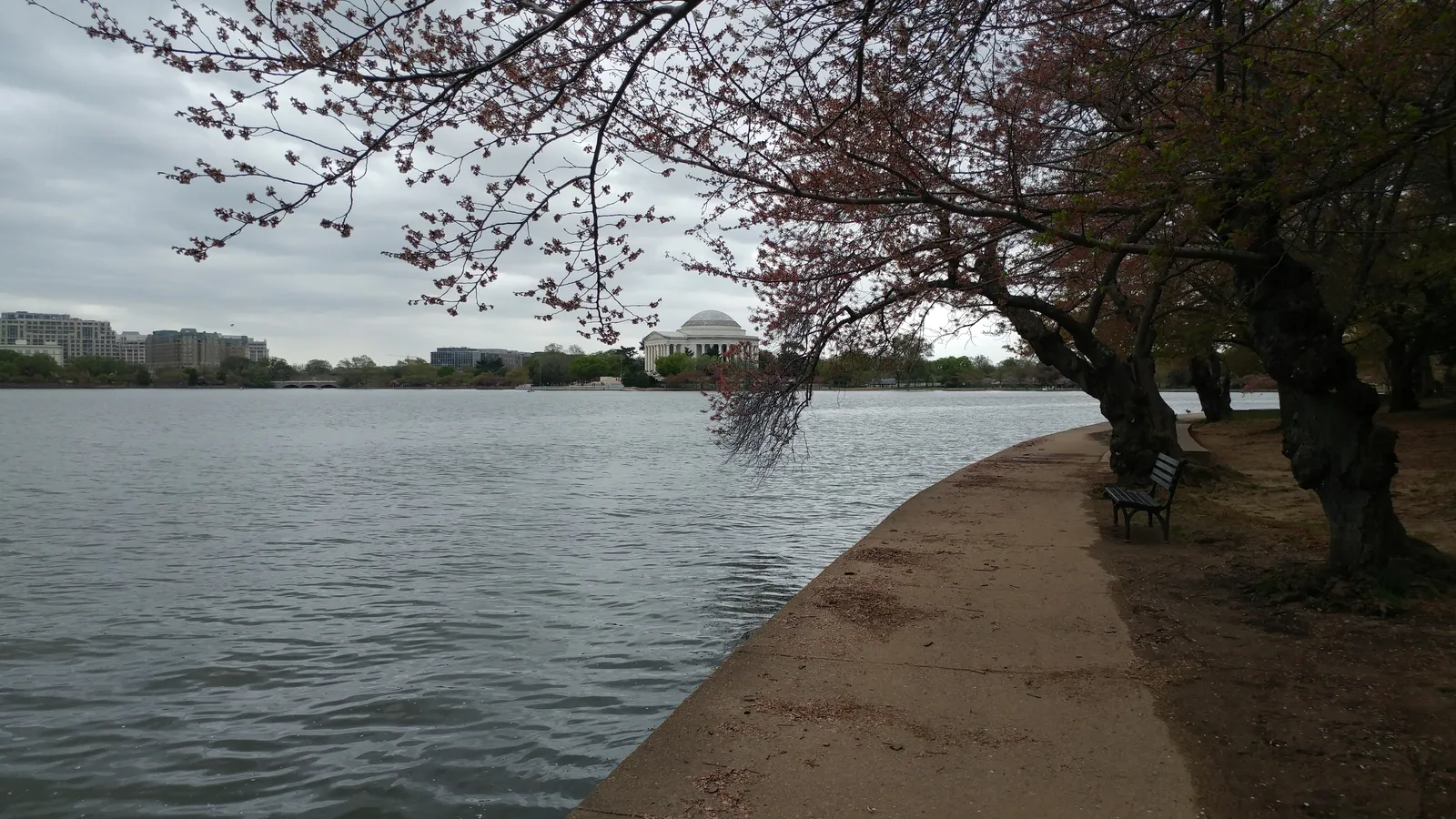 The Jefferson Memorial across the Tidal Basin amid cherry blossoms